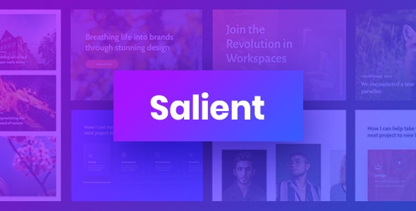 [GET] Nulled Salient v13.0.5 - Responsive Multi-Purpose Theme